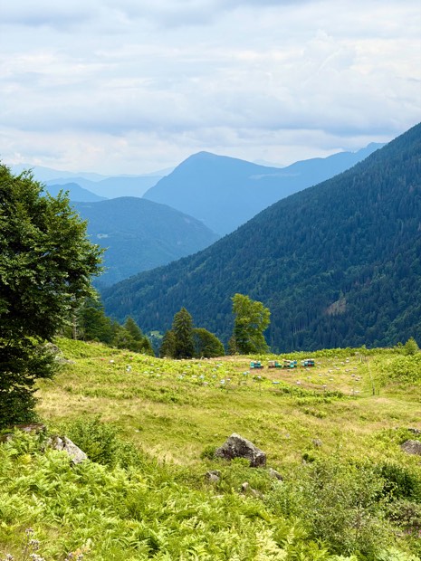 L'apiario della stazione di fecondazione visto dall'alto tra i pascoli