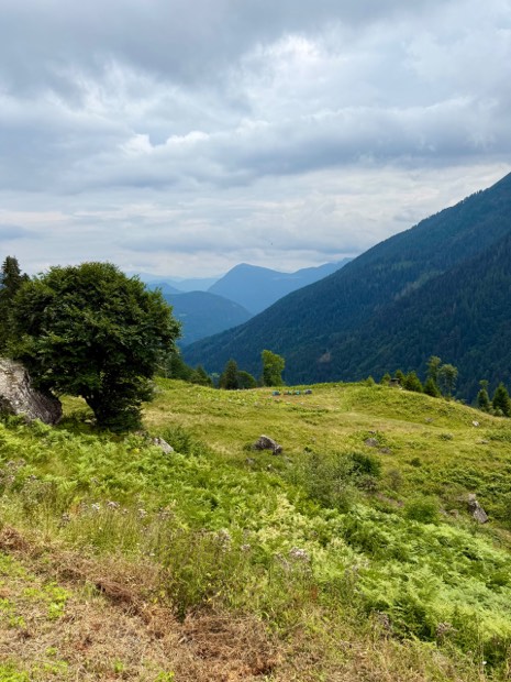Il pascolo con l'apiario e la valle che scende verso il fondovalle